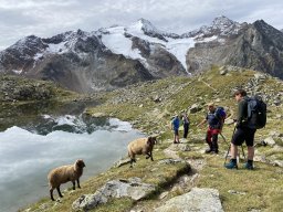 Stubai 2023